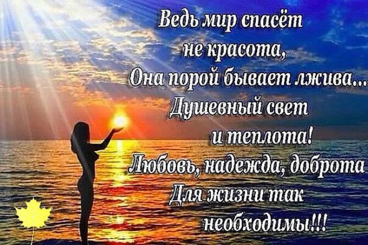 Пословицы об учении Наливной пол своими руками - пошаговая инструкция фото и видео
