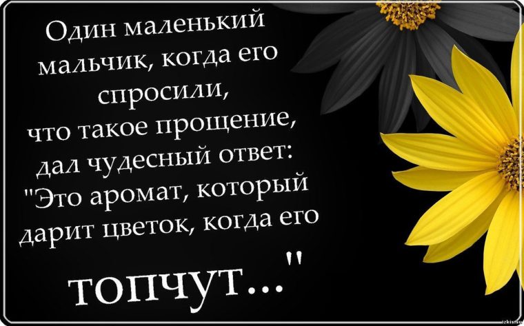 Афоризм для прощения Афоризм для прощения