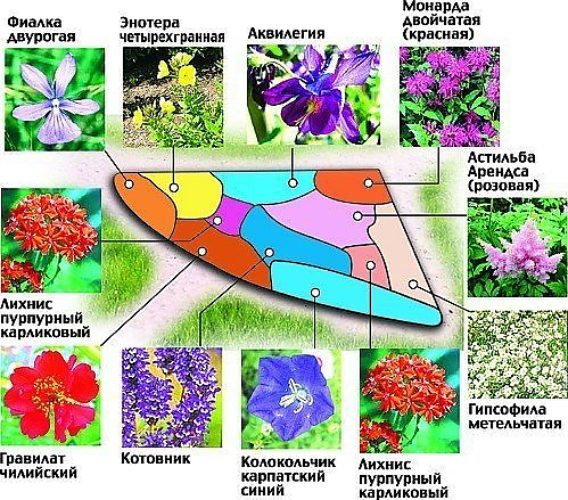 Вязаные шапочки для новорожденных : схемы с описанием Lucky Girl Вязание спицами шапочки для новорожденного с описанием и схемами