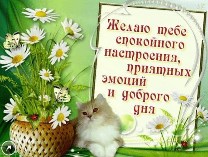 Открытки доброго настроения Открытки доброго настроения