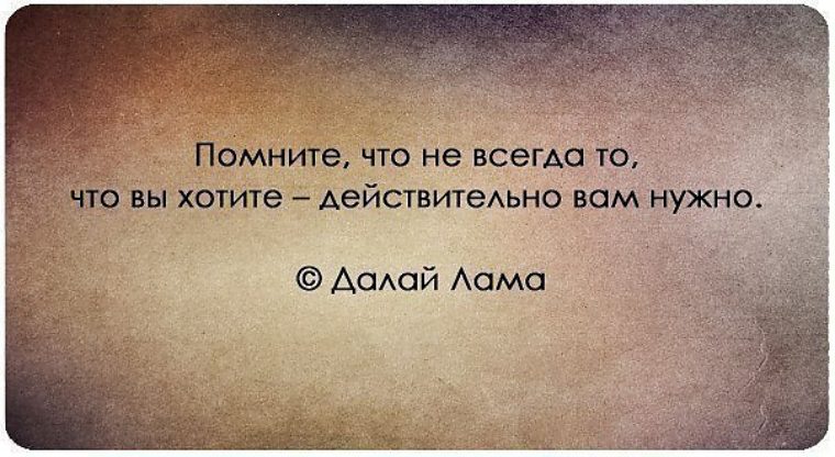 Как сделать город чистым Живи интересно Инструмент и приспособления для обработки лозы и