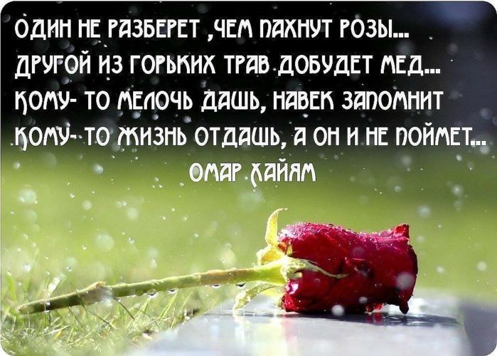 Статус кому то жизнь отдашь Статус кому то жизнь отдашь