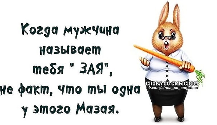 Анекдоты ты моя зая Анекдоты ты моя зая
