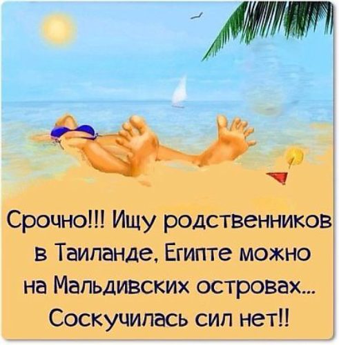 Цитаты и высказывания про отдых Цитаты и высказывания про отдых