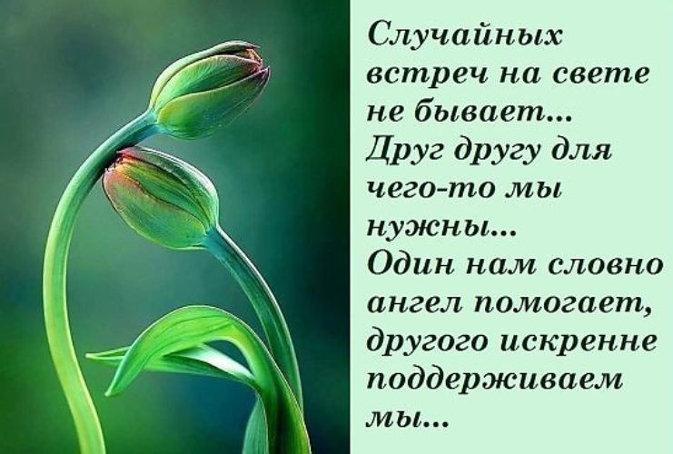 Стих наша встреча была не случайна Стих наша встреча была не случайна