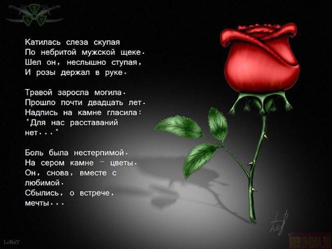 Короткий стих о жизни девушки Короткий стих о жизни девушки
