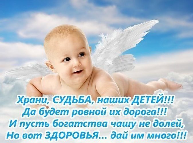 Статус дети заболели Игрушки для кошек своими руками: 20 идей для вашей кошки