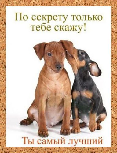 Открытка только самого лучшего Открытка только самого лучшего
