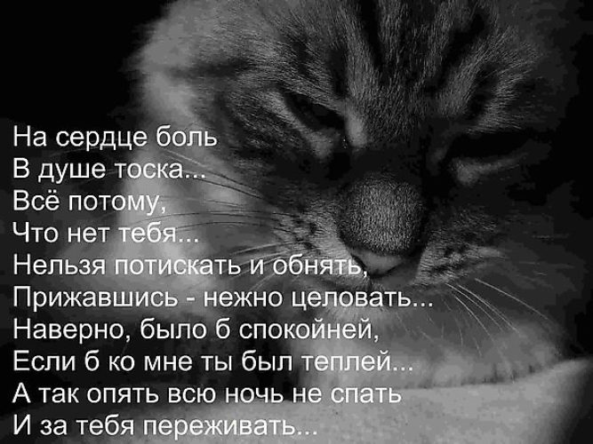 Стих мне грустно на душе Стих мне грустно на душе