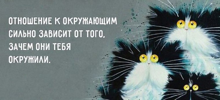 Статусы не завись не от кого Статусы не завись не от кого