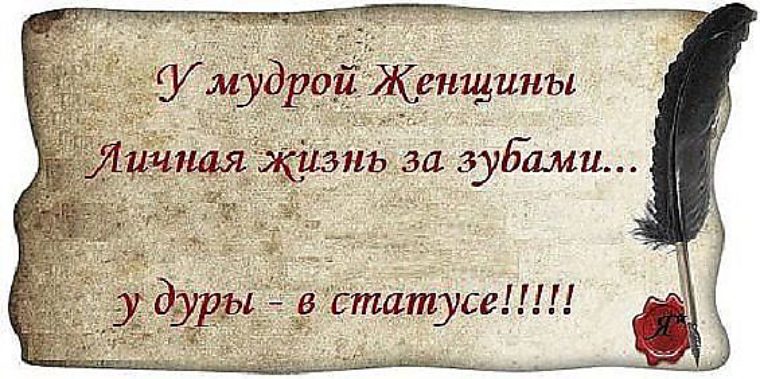 Мудрость цитаты статусы Мудрость цитаты статусы