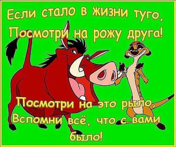 Стих другу в шутку Стих другу в шутку