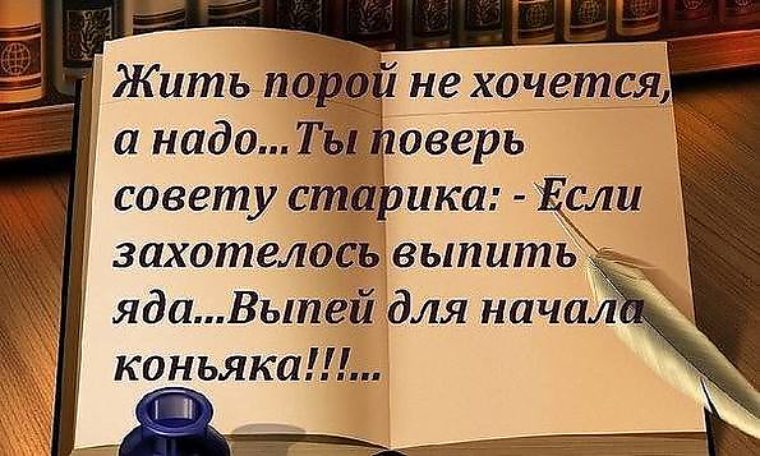 Если хочется вам афоризм Если хочется вам афоризм