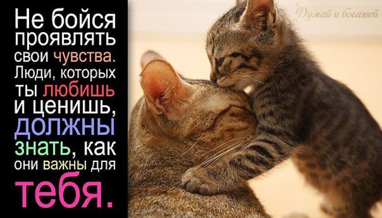 Не бойся проявлять своими руками Не бойся проявлять своими руками
