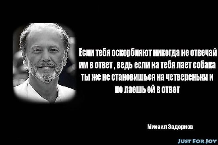 Поговорки если тебя оскорбили Поговорки если тебя оскорбили