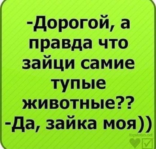 Статус мой прикольный и смешной Статус мой прикольный и смешной