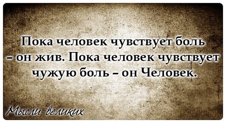 Прививки от бешенства для кошек : когда и как делать? Почему чернеют зубы у ребенка и что с этим делать