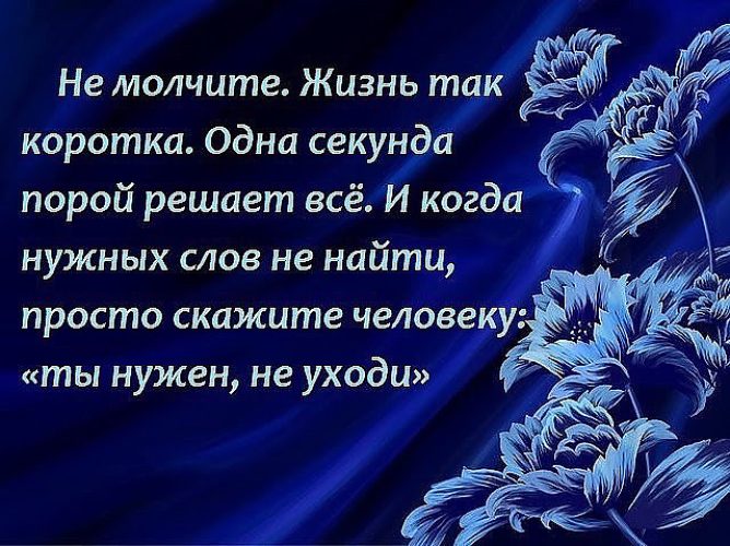 Загальна характеристика типу Членистоногі - Конспекти уроків Детский мир ВКонтакте