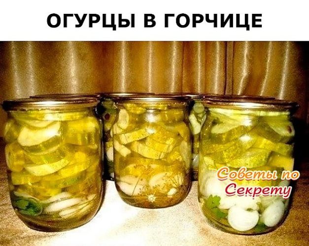 Зимний салат из огурцов с горчицей с Зимний салат из огурцов с горчицей с