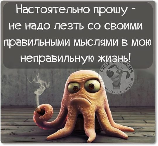 Статусы про тех кто лезет в личную жизнь Статусы про тех кто лезет в личную жизнь