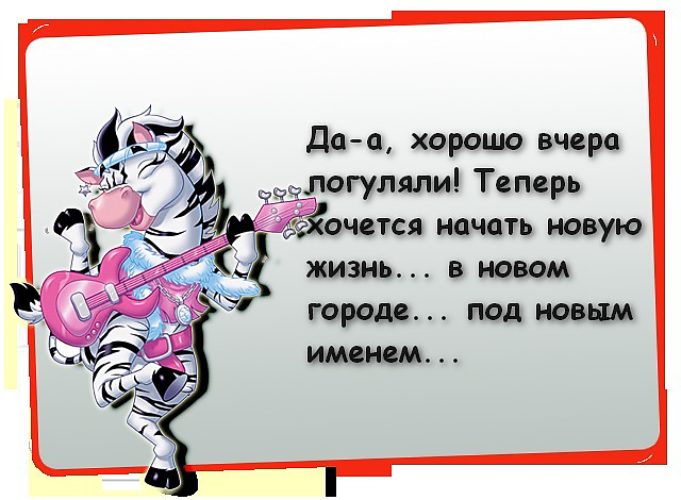 Шутки юмора афоризмы приколы Шутки юмора афоризмы приколы