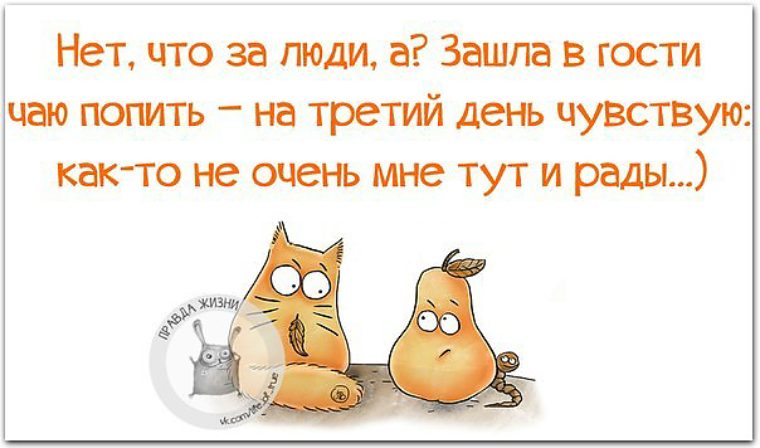 Прикольные цитаты на все темы Прикольные цитаты на все темы