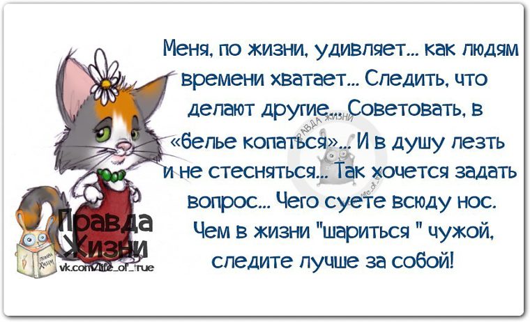 Порадовать человека статусом Порадовать человека статусом
