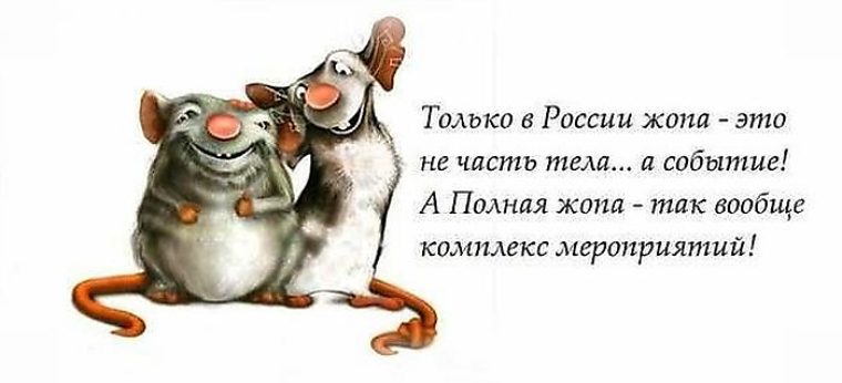 термобелье CRAFT прикольние картинки со смислом Marmot имеет следующие