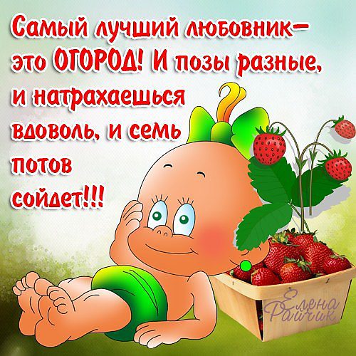 Поздравление с днём рождения дачнице женщине Поздравление с днём рождения дачнице женщине