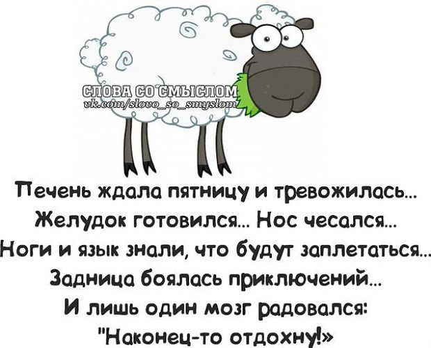 Плакучая береза: размножение, посадка, уход и прививка Новые рисунки на ногтях фото