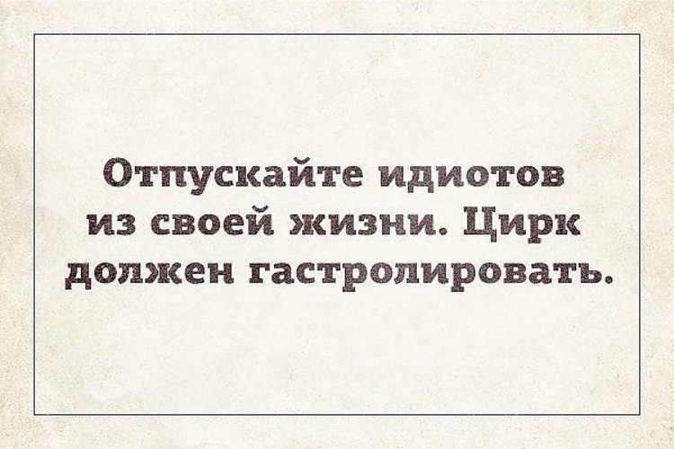 Статусы если парень идиот Статусы если парень идиот
