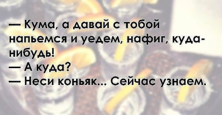Поздравления с днем рождения поющий заяц Поздравления с днем рождения поющий заяц