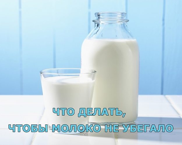 Как сделать чтобы молоко не убегало Как сделать чтобы молоко не убегало