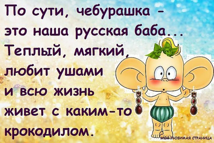 Афоризмы и анекдоты с картинками Афоризмы и анекдоты с картинками
