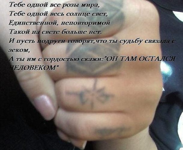 Зоновские поздравления друга Зоновские поздравления друга