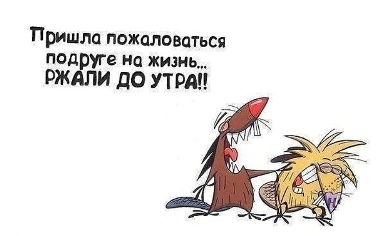 Статусы приезжает подруга Статусы приезжает подруга
