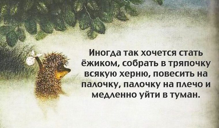 Если хочется вам афоризм Если хочется вам афоризм