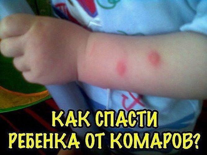 Чем смазать укусы комаров у ребенка в домашних условиях Чем смазать укусы комаров у ребенка в домашних условиях