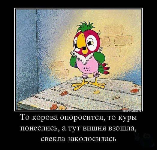 Крылатые фразы из мультфильмов мп3 Крылатые фразы из мультфильмов мп3