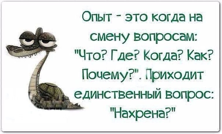 Опыт в жизни поздравления