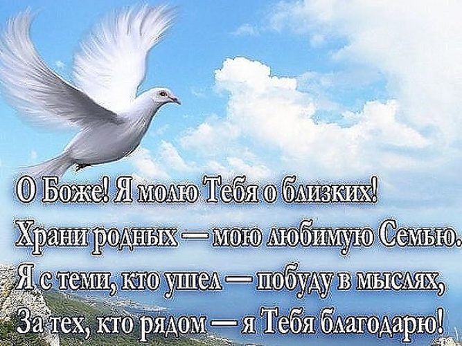 Концерт для ветеранов, посвященный Дню Защитника Отечества Компьютерный вирус. - Стихи Для Людей - автор: juliyasobolenko