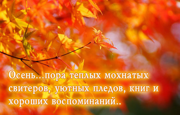 Поделки Дары осени своими руками из природных материалов Одуванчик лекарственный - свойства, рецепты, лечение