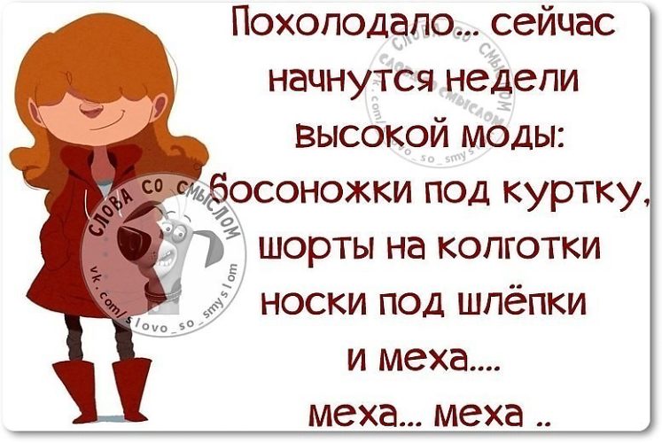 Похолодало статусы Похолодало статусы