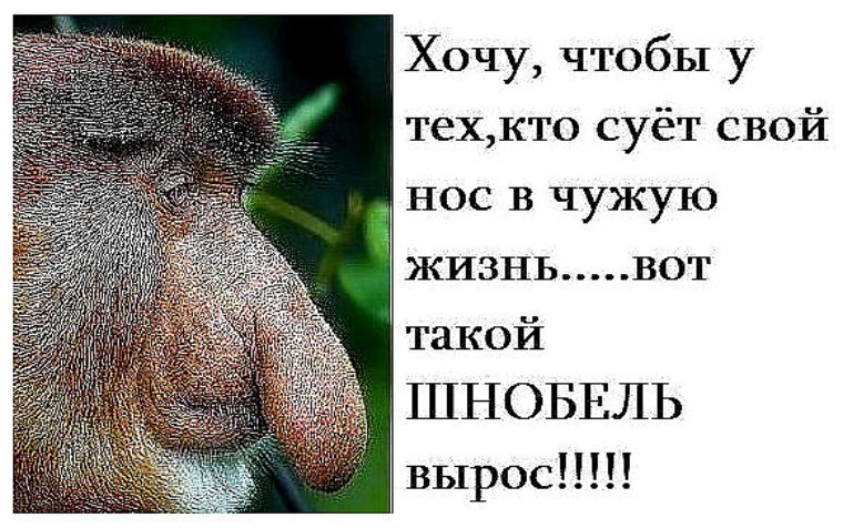 Цитаты для тех кто лезет в мою жизнь Цитаты для тех кто лезет в мою жизнь