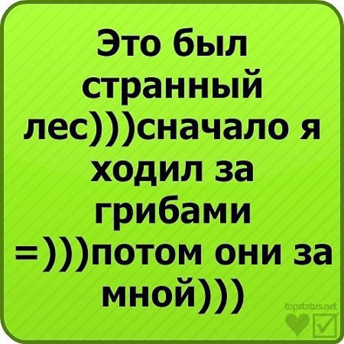 Самые смешные статусы для картинки Самые смешные статусы для картинки