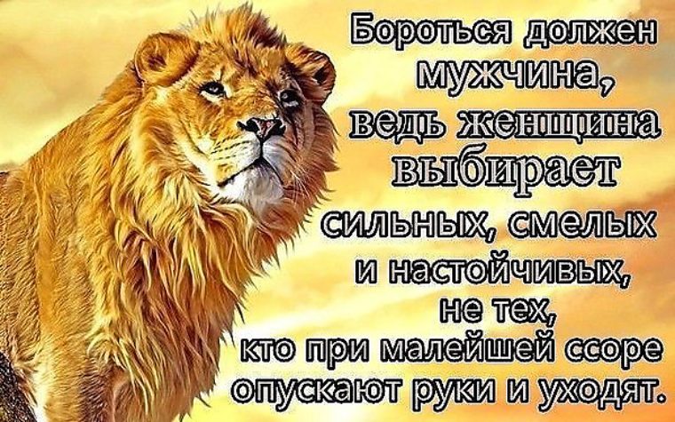 Статусы быть настойчивым Статусы быть настойчивым