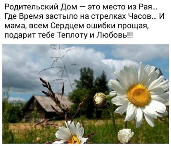 Родным и близким. Варианты красивых подарков.Видео-советы и уроки Родным и близким. Варианты красивых подарков.Видео-советы и уроки