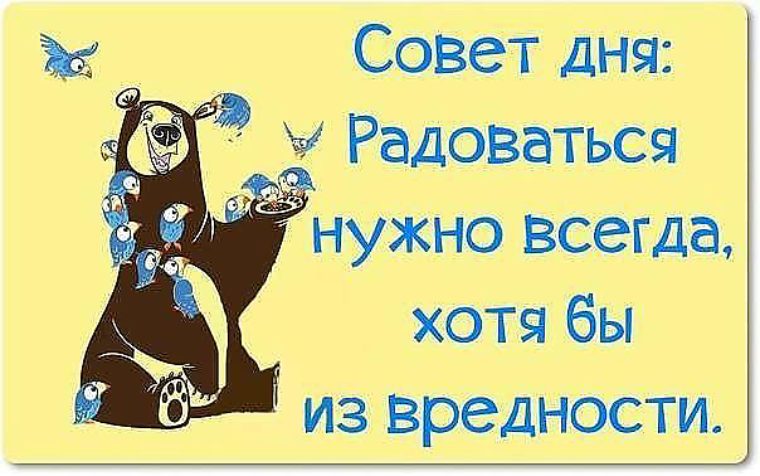 Веселые афоризмы поздравления с Веселые афоризмы поздравления с