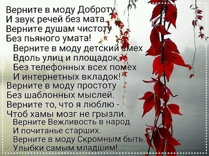 МОДНЫЕ СВАДЕБНЫЕ ПРИЧ ЁСКИ НА ДОМУ Своими Ламинирование ресниц форум