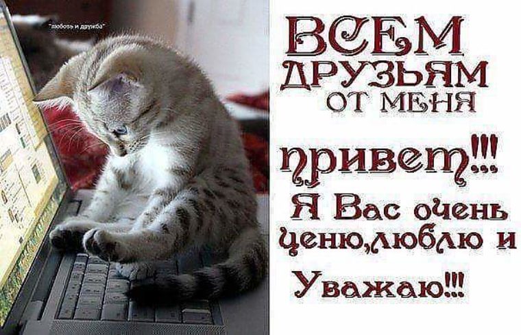 Здравствуй друг открытка Здравствуй друг открытка